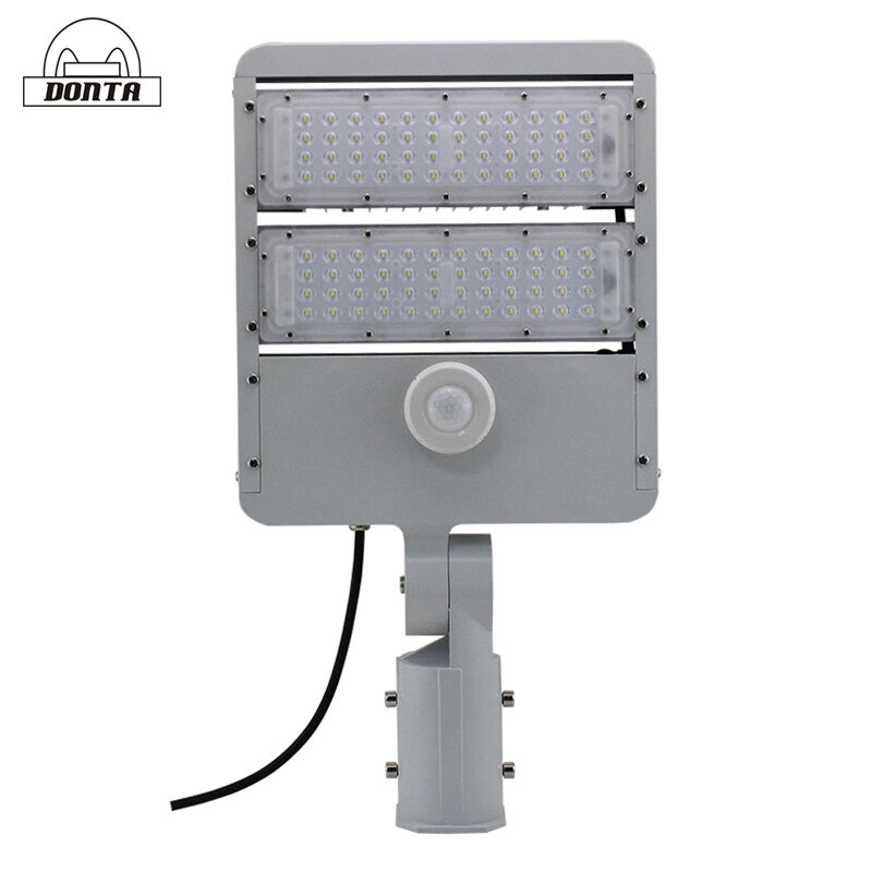 Induction dimming city power street lights led shoebox