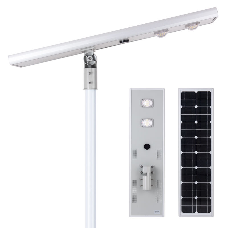 Adjustable Microwave Motion Sensor Integrated Solar Street Light Dusk to Dawn