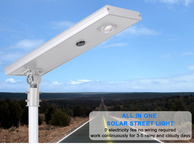 solar street lamp (1).jpg