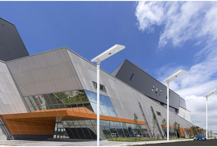 solar street lamp (8).jpg