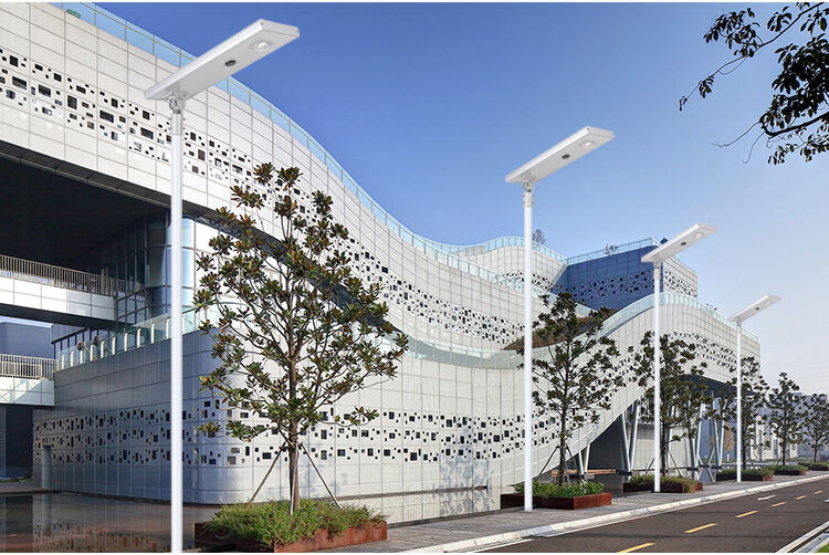 solar street lamp (9).jpg