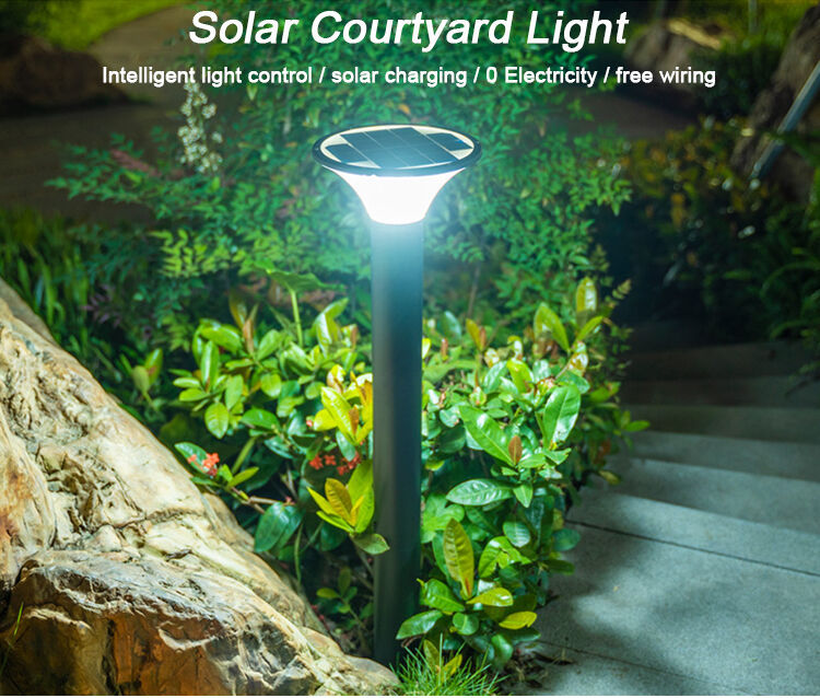 solar path light (1).jpg