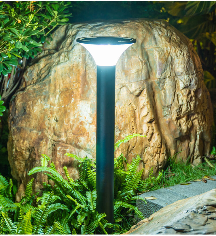 solar path light (2).jpg