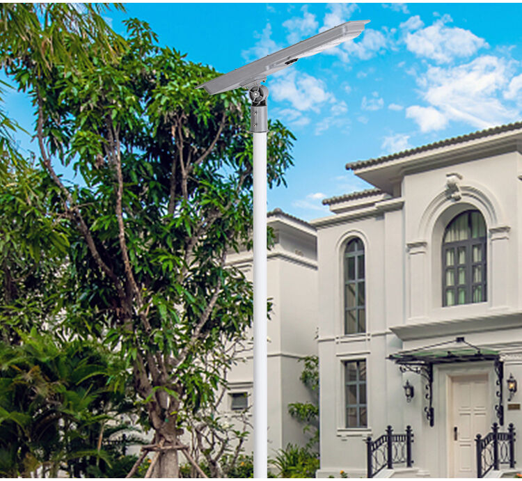 solar street light (9).jpg