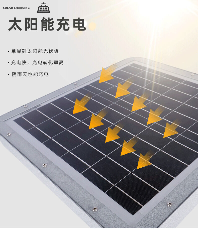 SG-F395 solar garden light (3).jpg