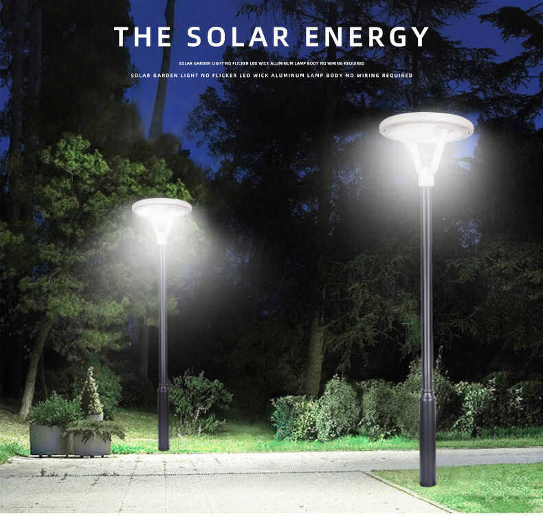 solar garden light (1).jpg