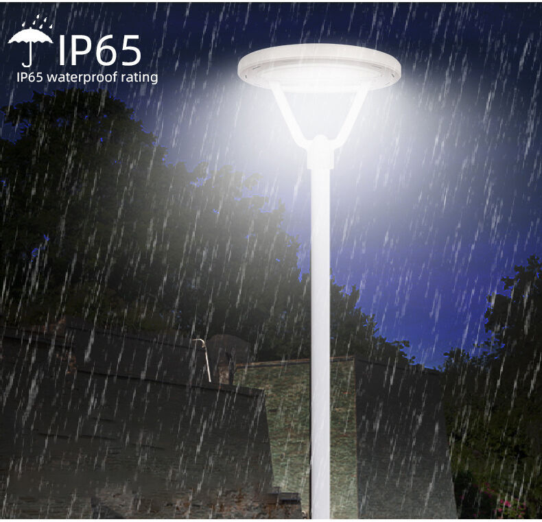 solar garden light (2).jpg