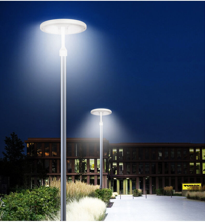 solar garden light (5).jpg