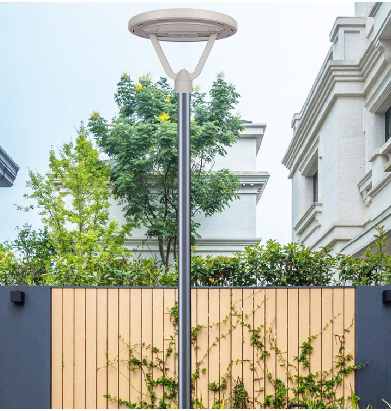 solar garden light (7).jpg