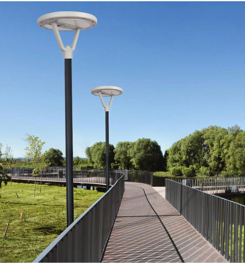 solar garden light (8).jpg