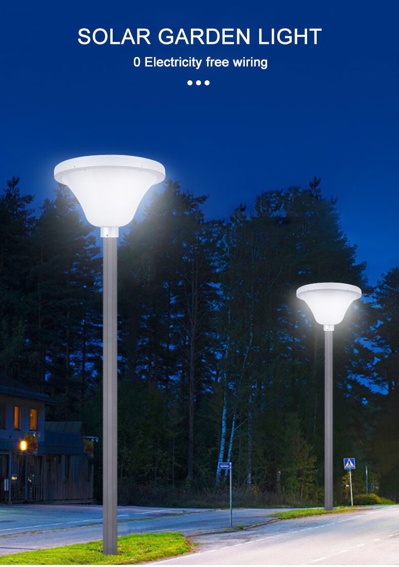 solar garden light (1).jpg