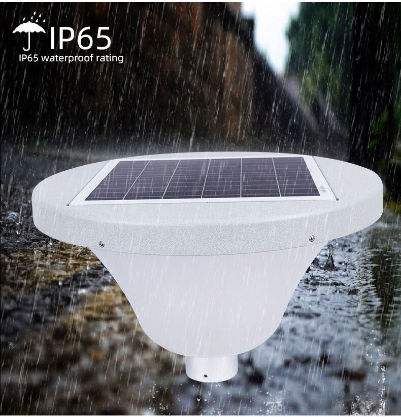 solar garden light (3).jpg