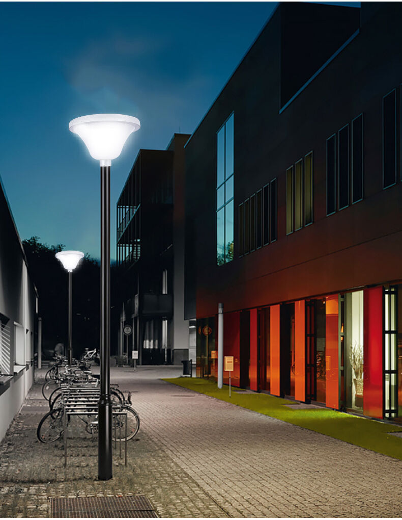 solar garden light (7).jpg