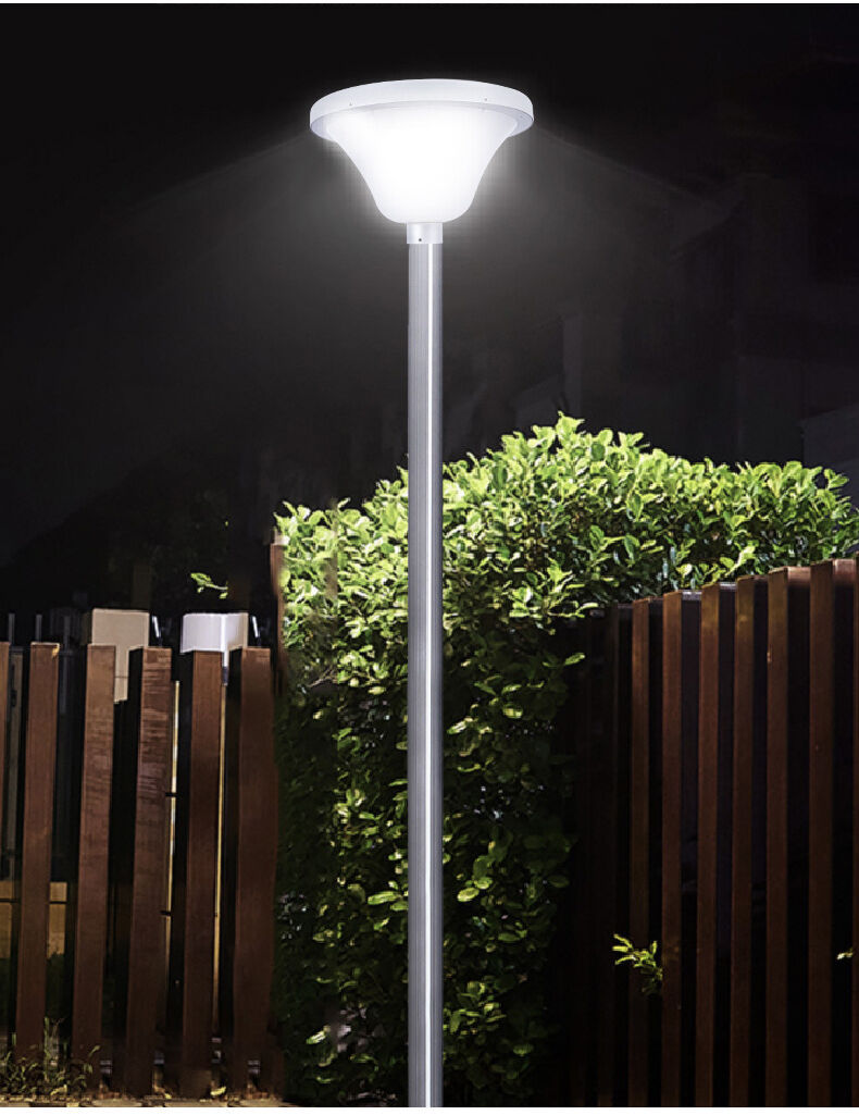solar garden light (9).jpg