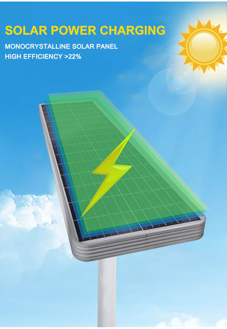 solar street light (3).jpg