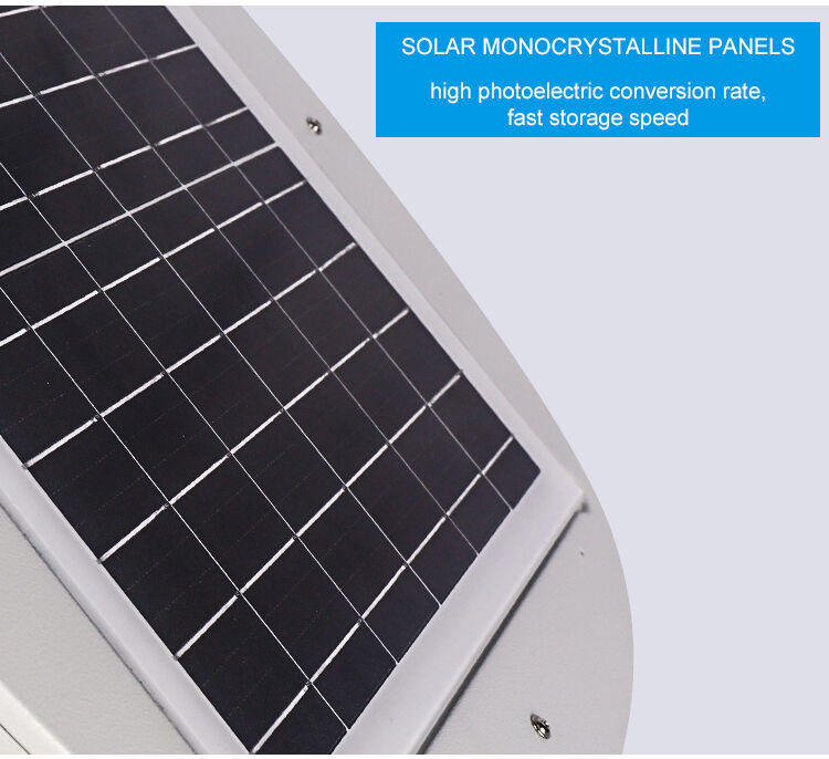 solar garden lamp (17).jpg