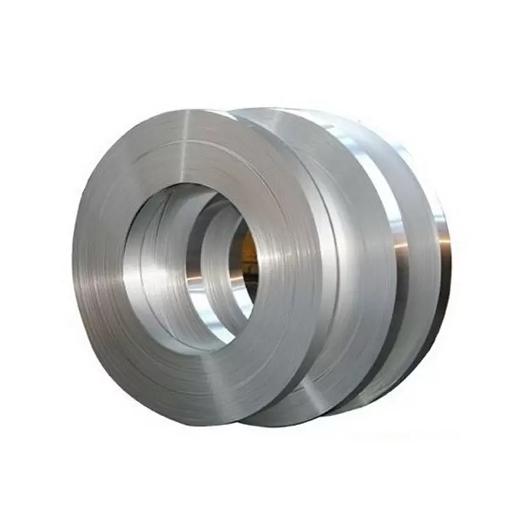 309s Stainless Steel Strip