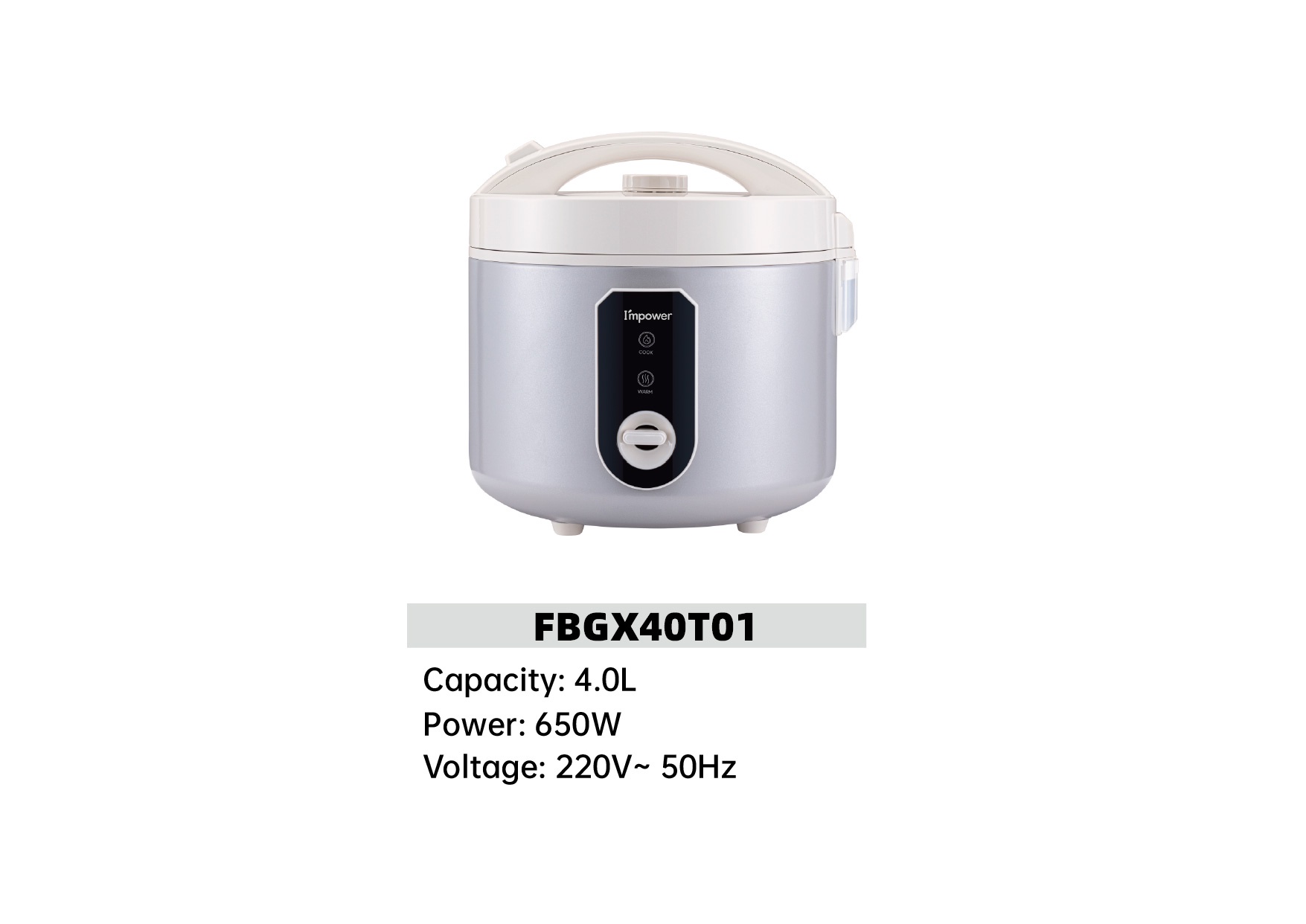 FBGX40T01