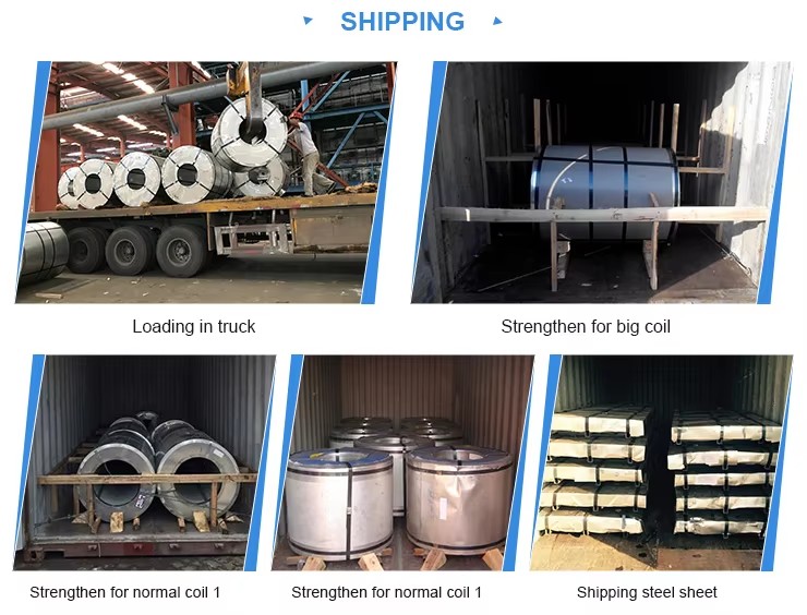 f146d2d7ea412ed9c25944a9dc64f556 f146d2d7ea412ed9c25944a9dc64f556