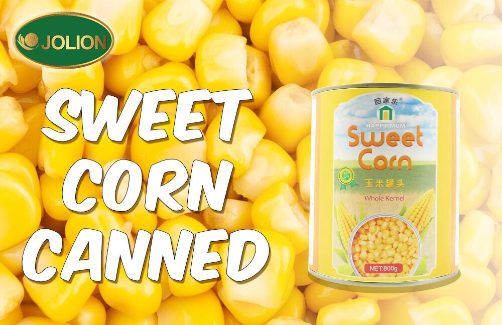 10.玉米罐头文章图-JOLION2.jpg