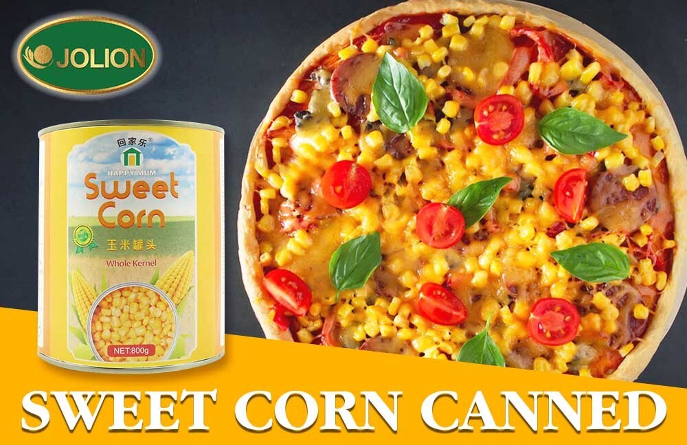 6.玉米罐头文章图-JOLION2.jpg 1735285262731173143764742144.jpg