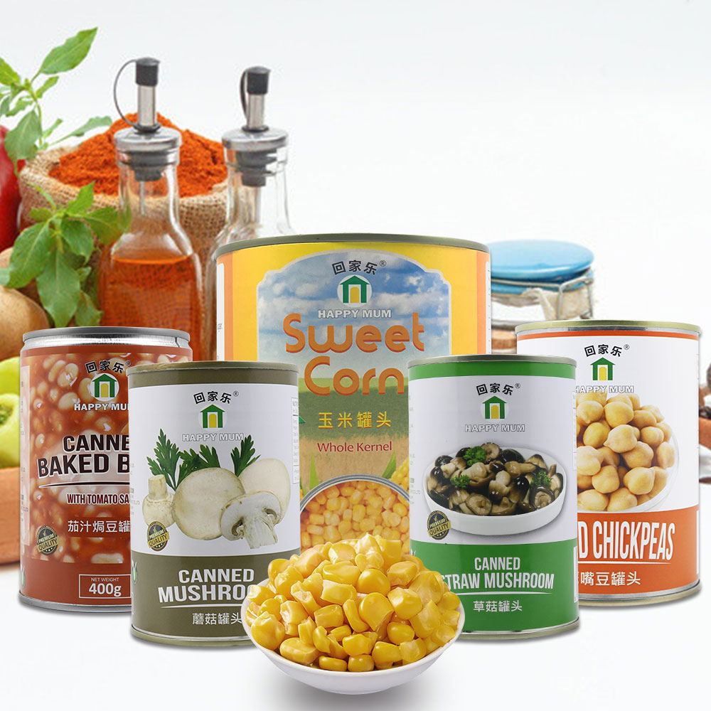 567g Fruit Canned Lychee