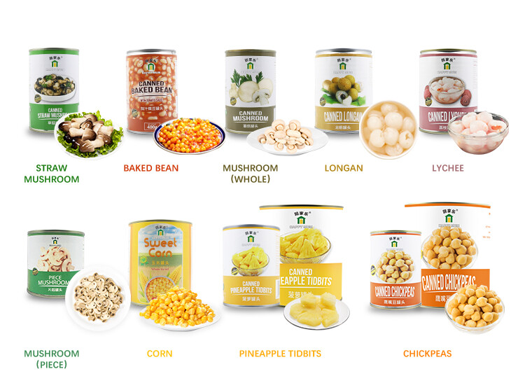 567g Fruit Canned Lychee