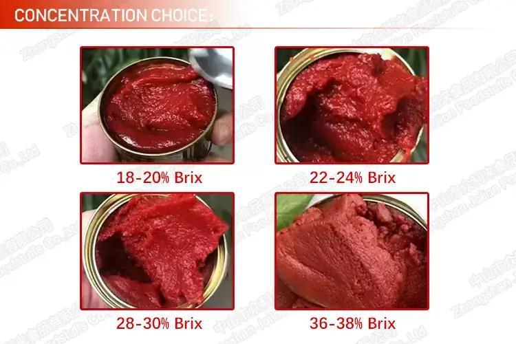 brix level of tomato paste brix level of tomato paste