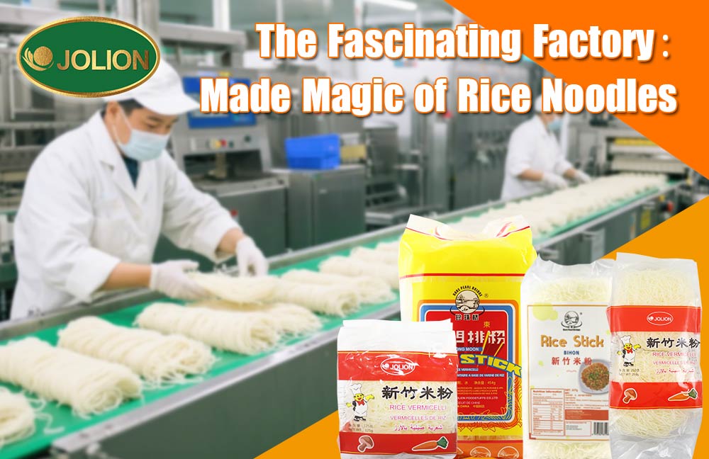 The Fascinating Factory:Made Magic of Rice Noodles The Fascinating Factory:Made Magic of Rice Noodles