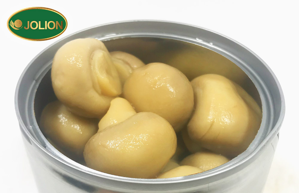 蘑菇罐头文章图-倒出-JOLION-3-20250917 第五篇 蘑菇罐头文章图-倒出-JOLION-3-20250917 第五篇