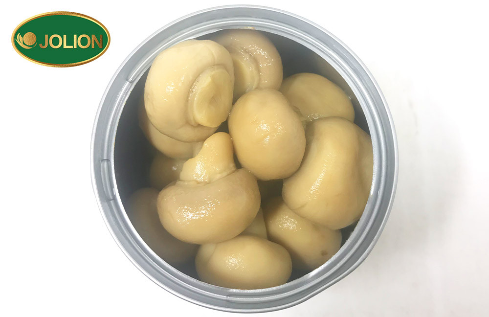 蘑菇罐头文章图-倒出-JOLION-4-20250917 第六篇