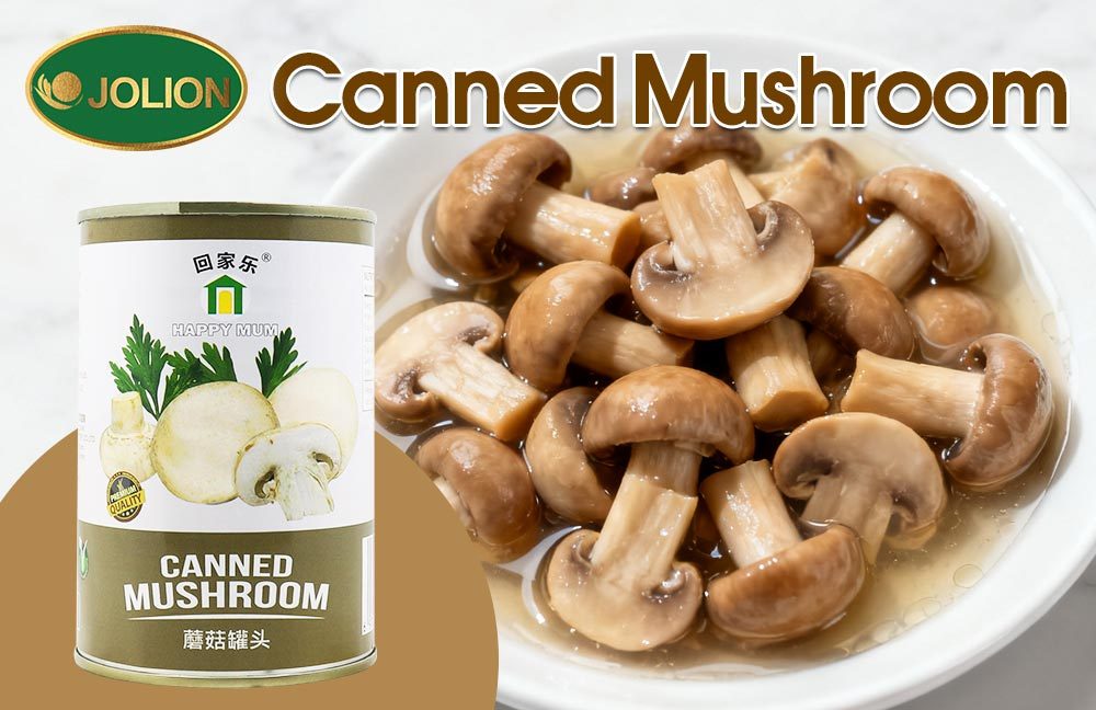 蘑菇罐头文章图-JOLION-20251024-第28篇 蘑菇罐头文章图-JOLION-20251024-第28篇