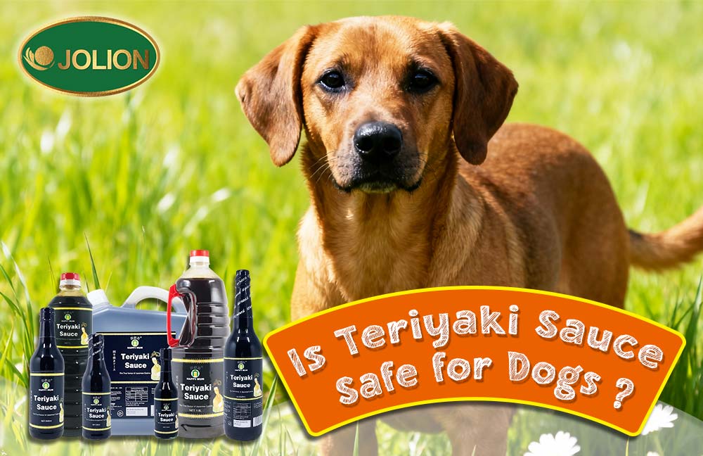 Why Teriyaki Sauce is a No-Go for Dogs Why Teriyaki Sauce is a No-Go for Dogs