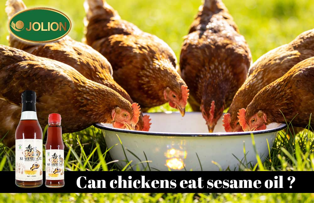 Simple and Nutritious Sesame Chicken Recipe with JOLION Foods