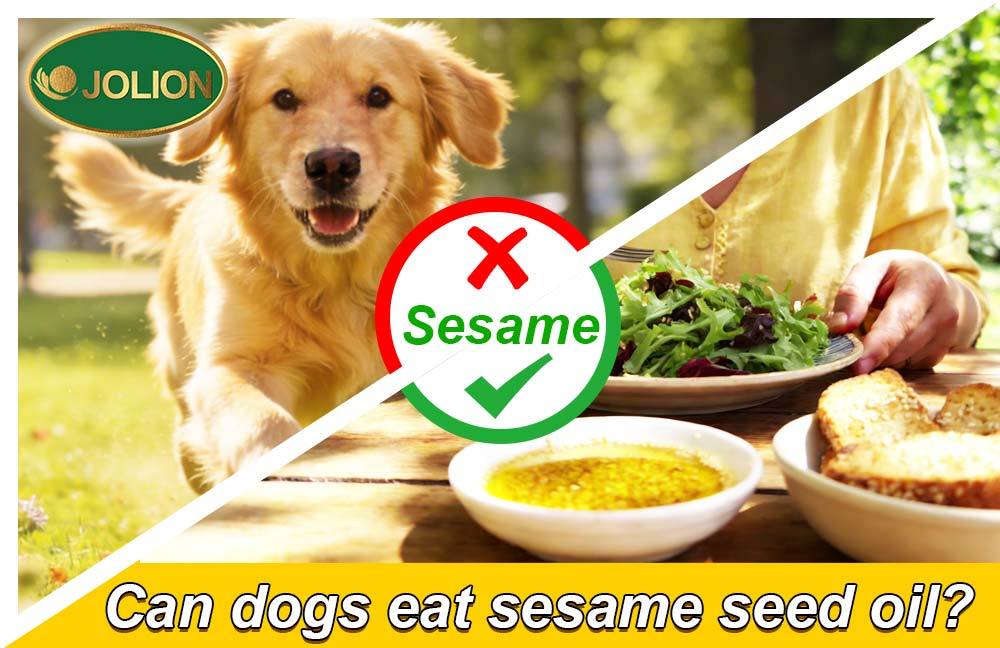 第六篇-芝麻油-文章图-JOLION-20260129 第六篇-芝麻油-文章图-JOLION-20260129