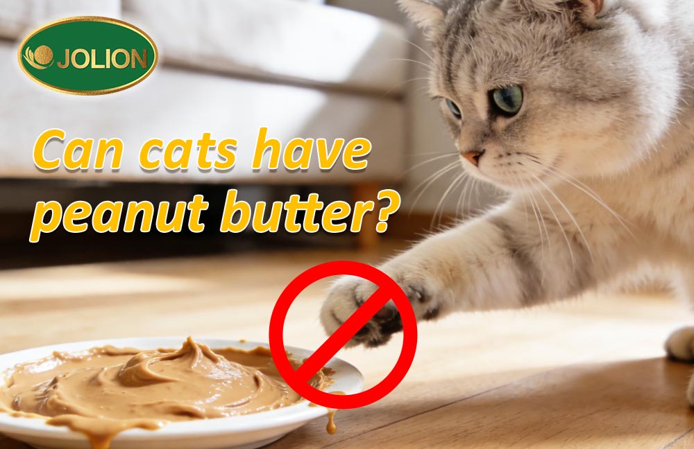 Can Cats Have Peanut Butter? A Simple Recipe and Safe Feeding Guide