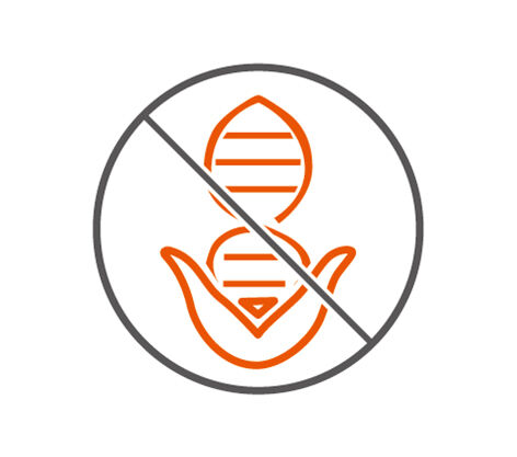 Non-GMO Quality Soybeans