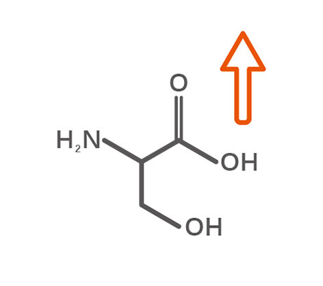Rich in Essential Amino Acids