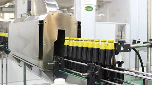 jolion soy sauce manufacturer