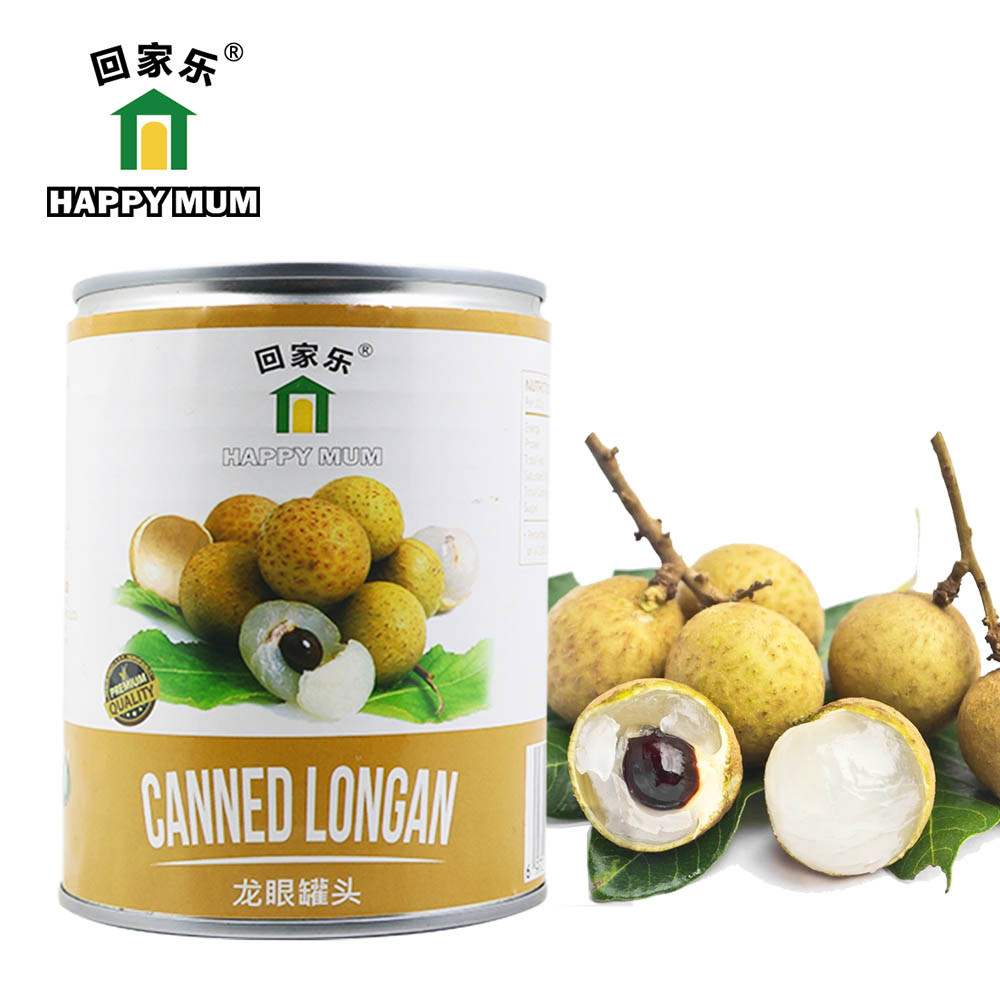 567g Fresh Fruits Canned Longan