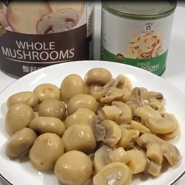 425g Canned Whole Mushroom