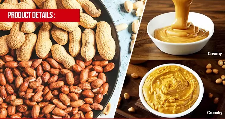 A Step-by-Step Guide on How Peanut Butter is Produced A Step-by-Step Guide on How Peanut Butter is Produced