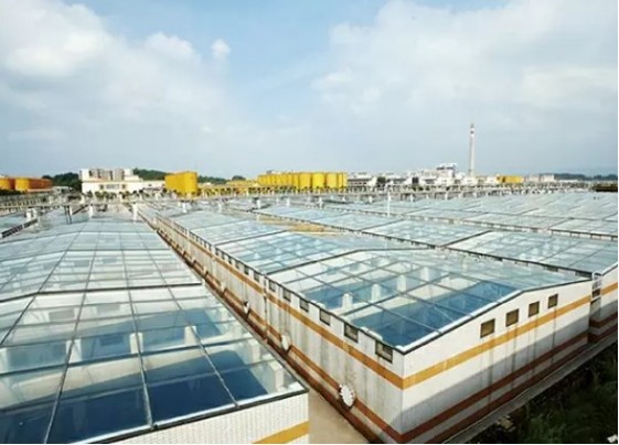 MSG Manufacturing.png