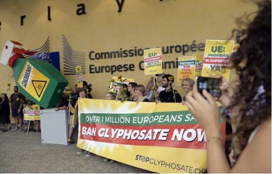 France to vote against EU renewal of glyphosate