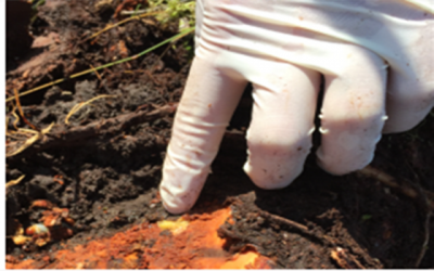 Biopesticides and the UK - which way now for this developing market?