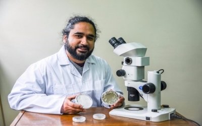 Research institute launches innovative product to combat Lobesia botrana