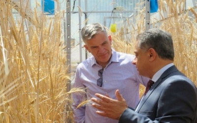 EFSA experts developed new approach to better use of epidemiological data in pesticide assessment
