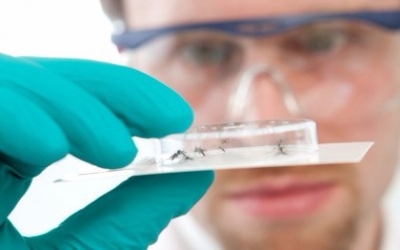 Sapec Agro launches new insecticide molecule in Portugal