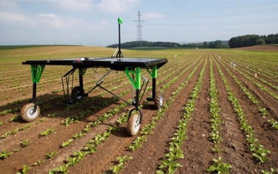 Robots fight weeds in challenge to agrochemical giants