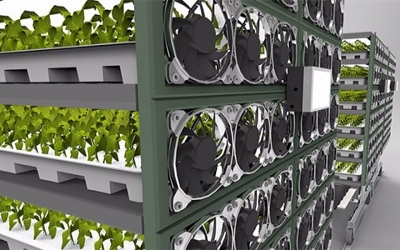OLEDs could boost vertical farm efficiency by 20 per cent